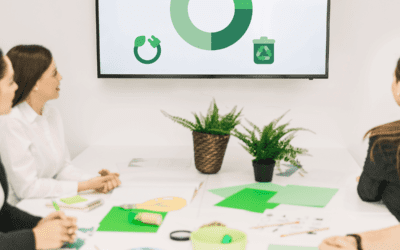 Cost-Effective Online ISO 14001 Environmental Management System Training in South Africa
