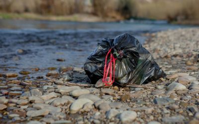 BP’s conviction of environmental crime highlights the importance for a robust Environmental Management System