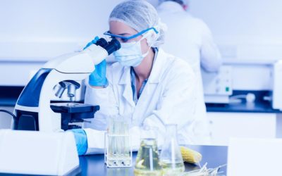 ISO 22000 – Food Safety Management Systems