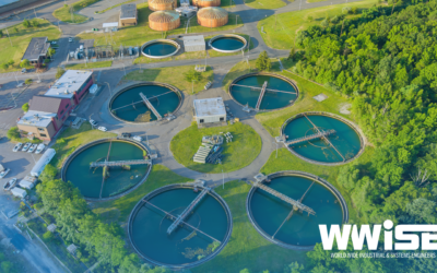 Your Holistic Solution to ISO 14000:2015 Implementation for Your Organisation